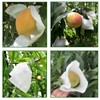 HouWanA Fruit Protection Paper Bags - 100pcs White Protection Covers