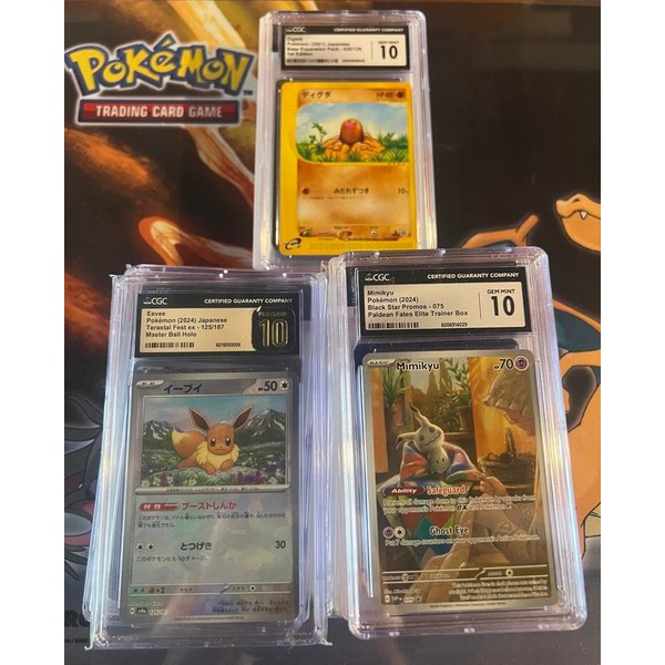 Pokemon Mystery Slab - Collectible Card with Unique Designs and