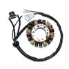 ElectroSport ESG870 Lighting Stator YFZ350 Banshee - High Output