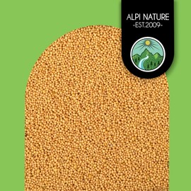 Mustard seeds (500g, 1.1lb), yellow and white 100% natural, gently dried, mustard seeds natural without additives, vegan