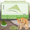 OENZBZV Juguetes de Hierba para Gato, Paquete de 2 Catnip