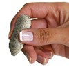 Jobe's Organics Succulent Fertilizer Spikes, Easy Plant Care for Succulent,