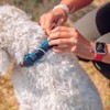 Nobby Preno Mesh Dog Collar, 30 - 45 cm/20 -