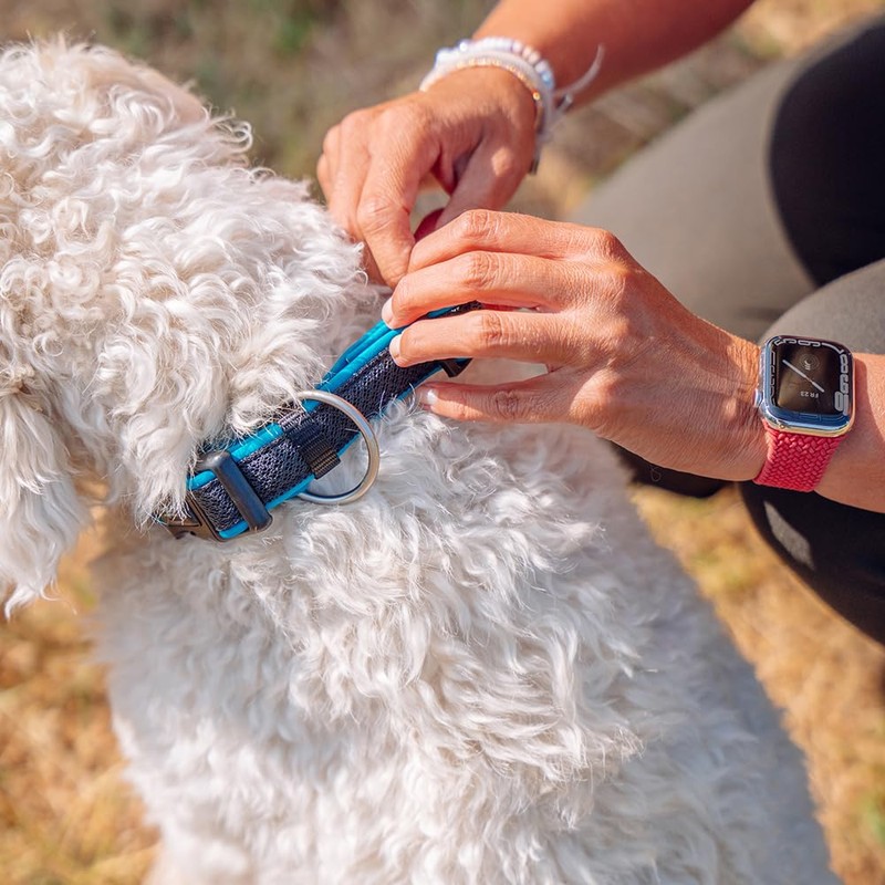 Nobby Preno Mesh Dog Collar, 30 - 45 cm/20 -