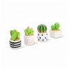 Mini Plants for Car Dashboard Decor, 4-Pack