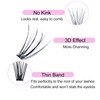 Eyelash Clusters LAUBESS Lash Clusters Individual Lashes Cluster Eyelash Extensions
