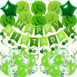 Recosis Green Birthday Decorations, Party Decorations Happy Birthday Decorations with Banner for Women Boys Girls Dinosaur Safari Party Decorations Wild One Birthday Party Supplies