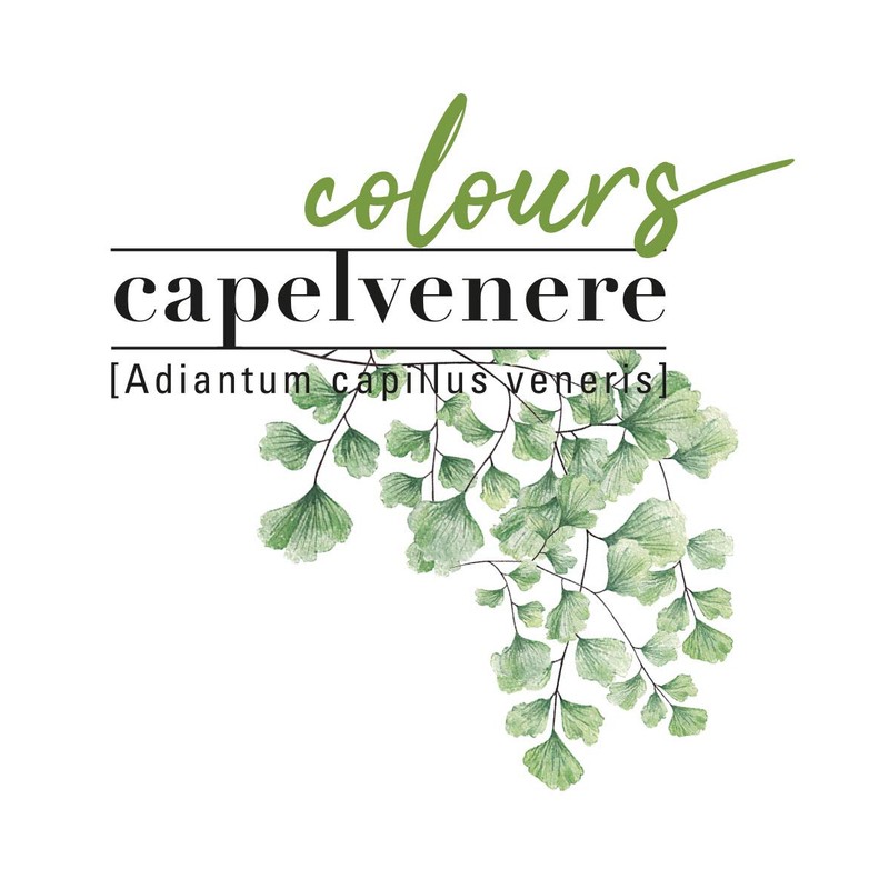 Helan, Capelvenere Colours Natural Hair Colour, Shade 4.45 Copper Brown,