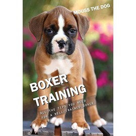 BOXER TRAINING: All the tips you need for a well-trained Boxer