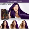 Instant Shampoo for Black Hair, Colour Shampoo for Grey Hair,