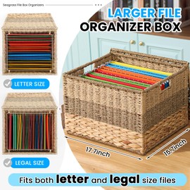Cinnvoice Extra Large Decorative File Box 18 x 16 x 13 in Wicker Seagrass File Basket Organizer for Letter Legal Size Hand Woven Hanging Filing Cabinet with Lid for Office Water Hyacinth, Tricolor