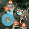 LaRoo Dog Flying Disc,Flying Plate 24cm Bite Resistant Floating Interactive