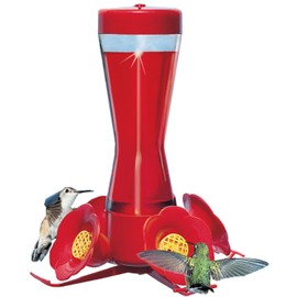 Four Fountain Hummingbird Feeder with Perch [Set of 6]