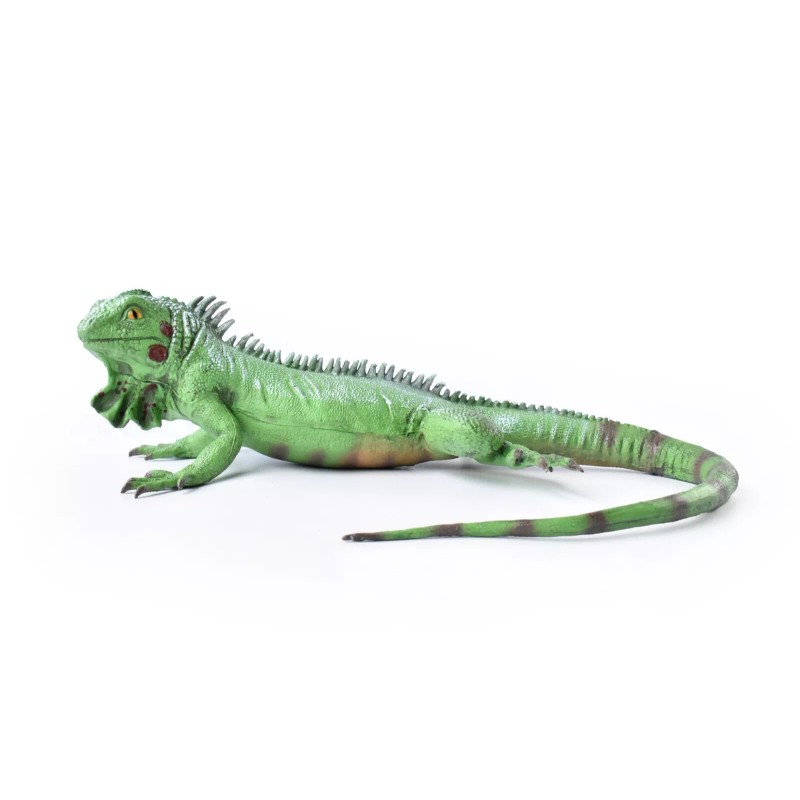 Dillon Iguana, Lizard, Museum Quality, Foam Rubber Reptile, Toy, Educational,