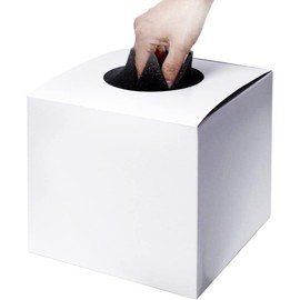 Sin. Japanese Lottery Box, White, Plain, Small Size, Includes Blindfold Sponge, Height 6.3 x 6.3 x 6.3 inches (16 x 16 x 16 cm), Bottom Board Included, Entry Box, Lottery Drawer, Drawing, Lottery