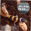 BESPORTBLE Box Reptile Hatching Incubation Box Durable Breeding Container for