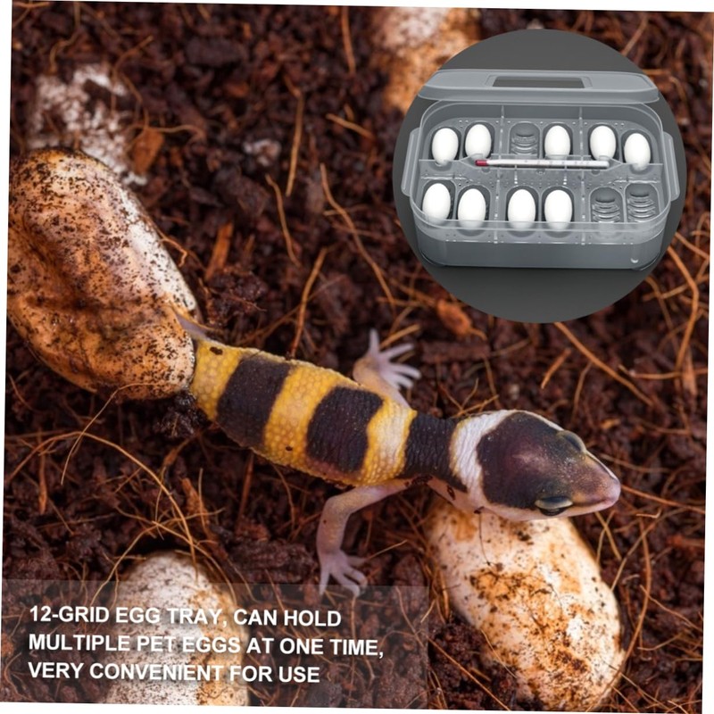BESPORTBLE Box Reptile Hatching Incubation Box Durable Breeding Container for
