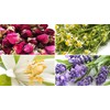 TESIS TISANA DE MANZANILLA, ROSAS Y FLORES; CAMILA, 50g