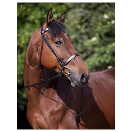 Riding World Bridle Nose Band French Pony Black