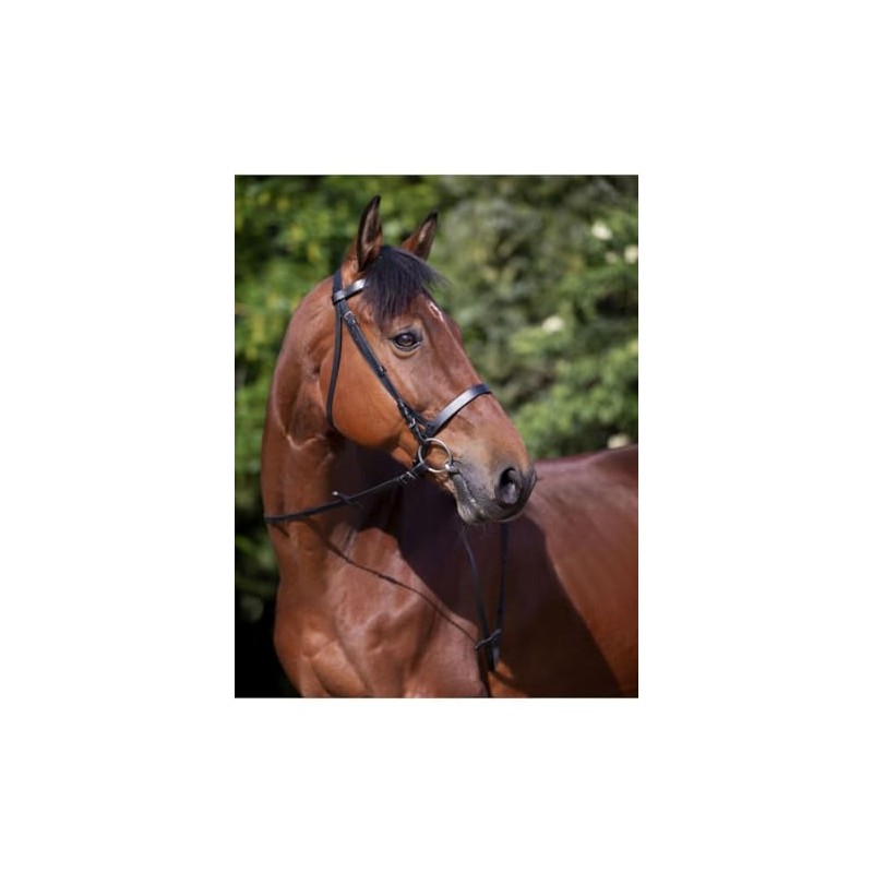 Riding World Bridle Nose Band French Pony Black