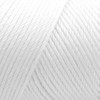 Bulk Buy: Caron Simply Soft Yarn Solids (2-Pack) (White)