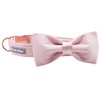 Lionet Paws Dog Collar with Bow Tie - Comfortable Silk