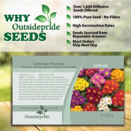 Outsidepride 50 Seeds Annual Primula Common Primrose Danova Flower Seed Mix for Planting