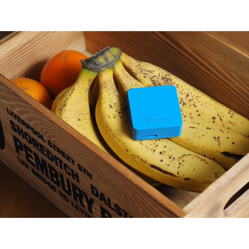 ViseeO QUBS Smart Temperature & Humidity Data Logger (Black)