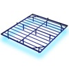 Hasuit Floating Bed Frame California King Size with LED Lights,