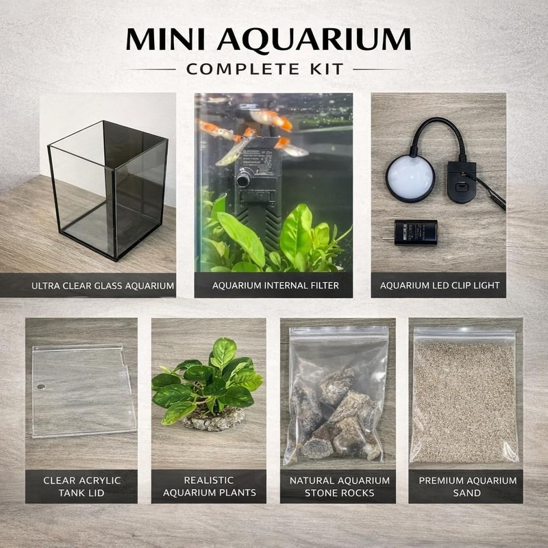 LYPHARD AQUARIUMS Mini Aquarium Set Fish Tank Shrimp Tank Snails