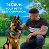 TECEUM Reflective Pet Collar – Sky Blue – XS –