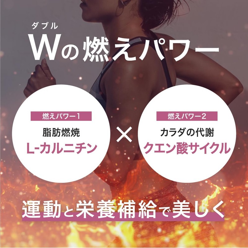 アルプロン (ALPRON SLIM) ダイエット サポート 燃え燃え450g グレープフルーツ風味 カルニチン クエン酸 アルギニン