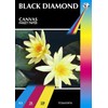 40 Sheets A3 220GSM Black Diamond Canvas Inkjet Paper