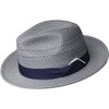 Bailey of Hollywood Eli Fedora - Avion/L Avion, Large