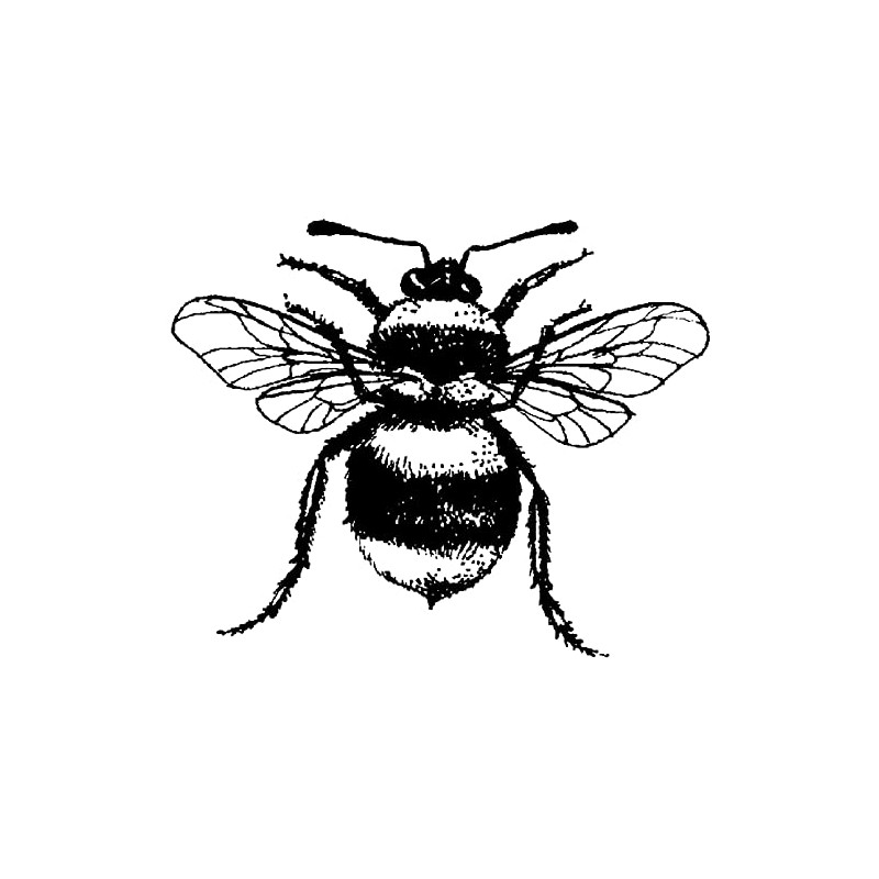 Art Stamps Bee Stamp