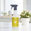 MRS. MEYER'S CLEAN DAY All-Purpose Cleaner Spray, Daisy, 16 Fl.