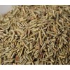 Rosemary Herbal Tea, Organic 0.4 oz (10 g) (Trial Size)