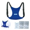 Heatstroke Prevention Product [BR-530 Ice Back Ice Bag 2 Color: