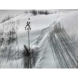 Ansel Adams "Dune, White Sands Nat. Park NM"  Custom Framed NEW ART Photography