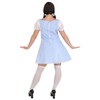 Dreamgirl Gingham Dress, Light Blue, Small