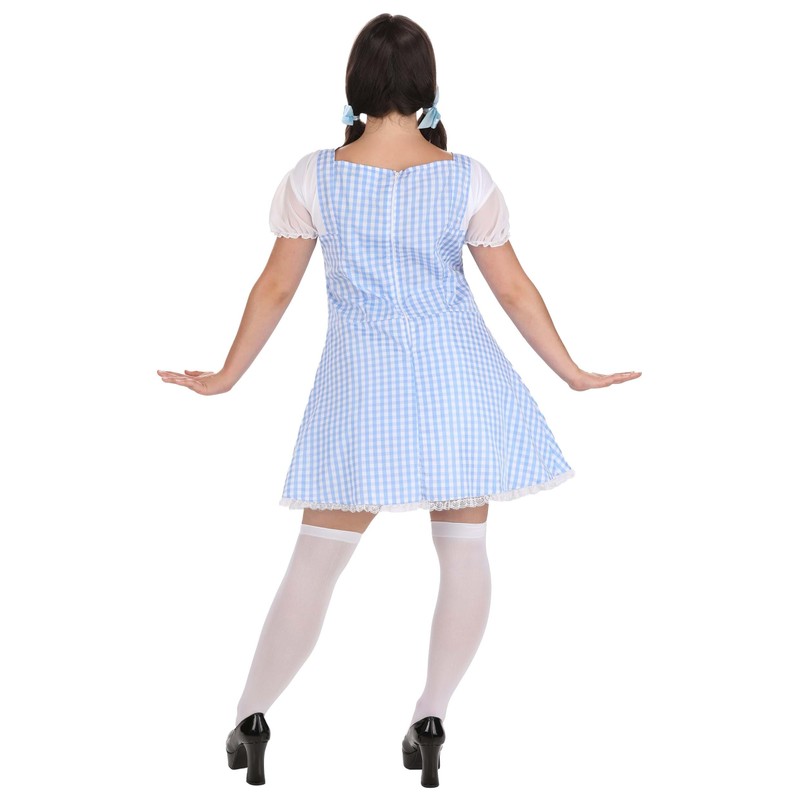 Dreamgirl Gingham Dress, Light Blue, Small