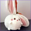 Animal Plush Doll Adorable Soft Reversible Persimmon Plush Toy Pillow