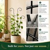 LXCSYXJ Small Trellis for Potted Plants,Trellis for Climbing Plants Outdoor
