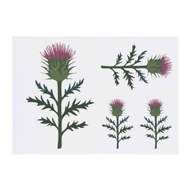 4 x 'Single Scottish Thistle' Temporary Tattoos - Water Resistant, Skin-Safe, Non-Toxic Transfers, Mixed Sizes (TO00082680)