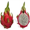 Dragon Fruit Cactus Tree Seeds