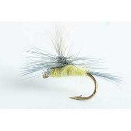 Blue Wing Olive Sulphur Parachute Dry Fly, 6-Pack (14)