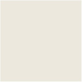 Prism Color Consistent Grout (#381 Bright White)