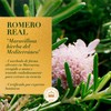 HERBAL ESSENCES Bio:Renew, Acondicionador Rosemary & Herbs, Sin Parabenos ni