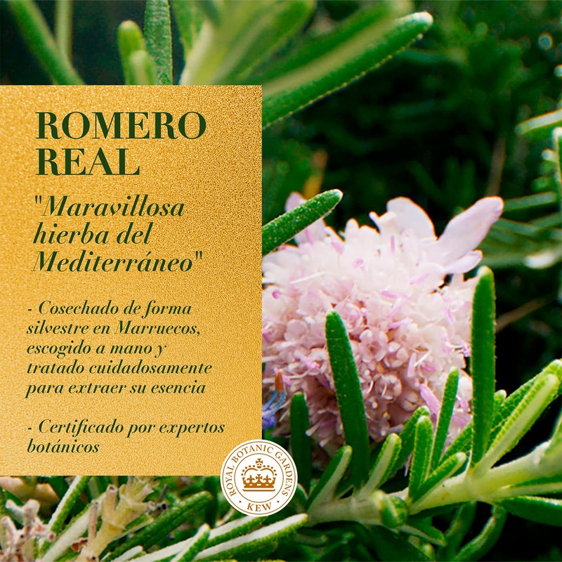 HERBAL ESSENCES Bio:Renew, Acondicionador Rosemary & Herbs, Sin Parabenos ni