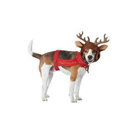 California Costumes Collections PET20155 Apparel for Pets, Small